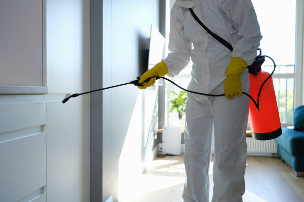 Best Mold Testing and Inspection Services in Baldwinville, MA