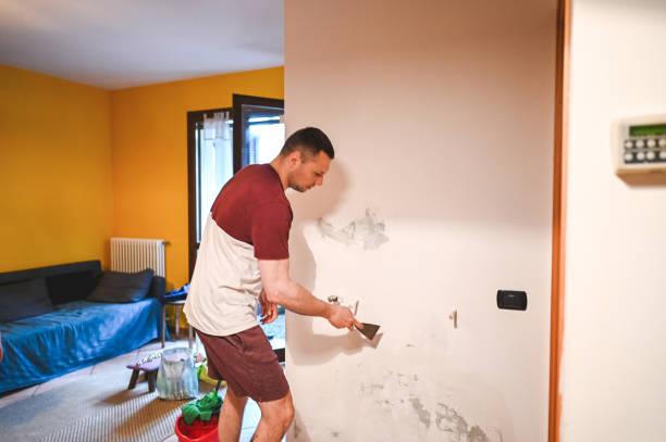 Best Preventive Mold Services in Baldwinville, MA